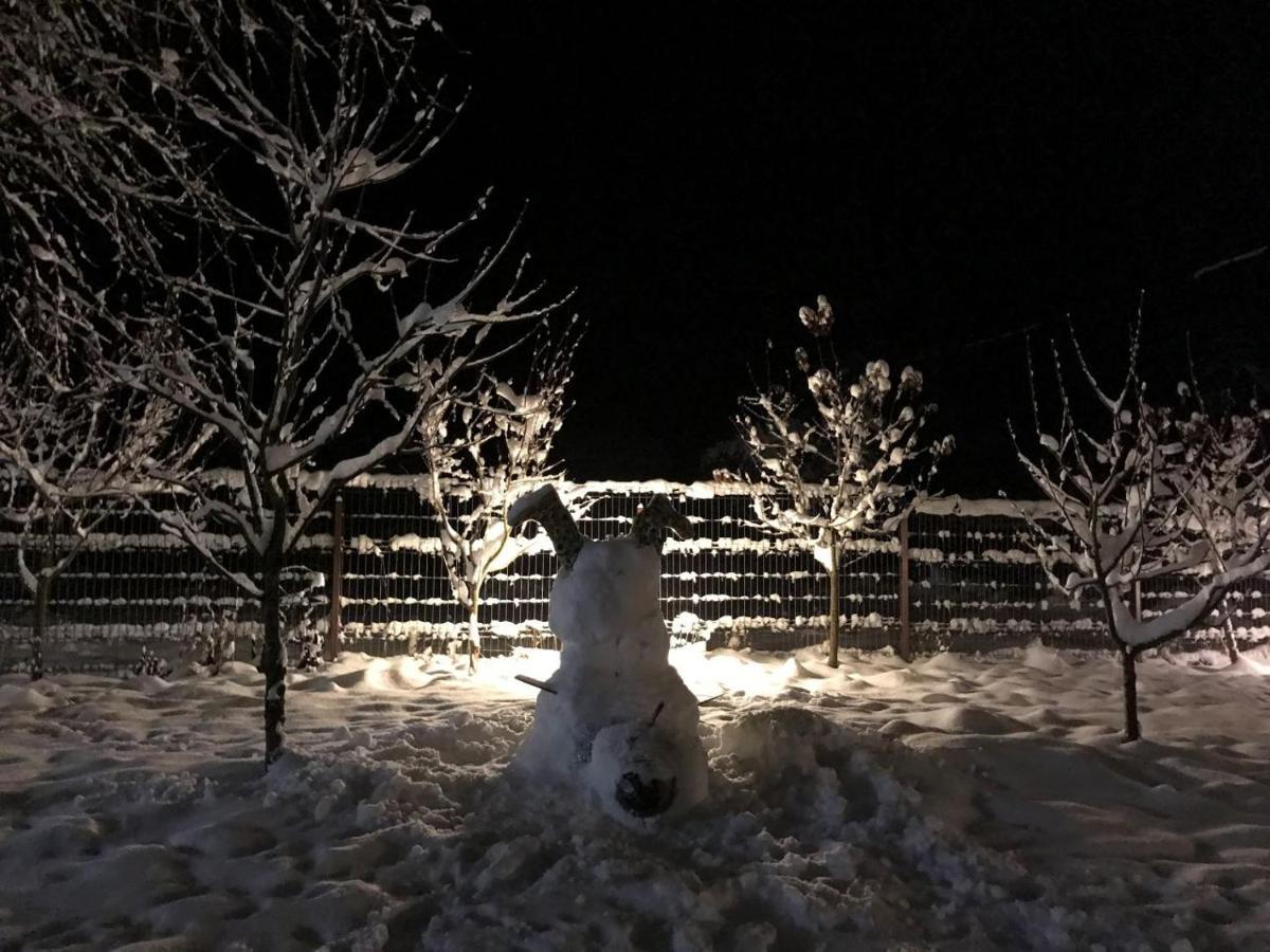 Cabana Jasmin Băile Chirui Exteriör bild